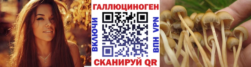 Купить закладки  Удачный  Псилоцибиновые грибы GOLDEN TEACHER 